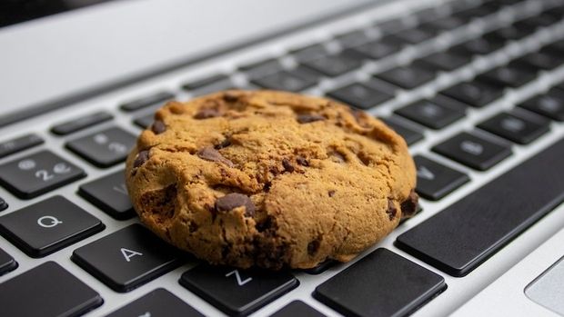 Rutmer Visser | shutterstock Online: Performance Marketing ohne Cookies