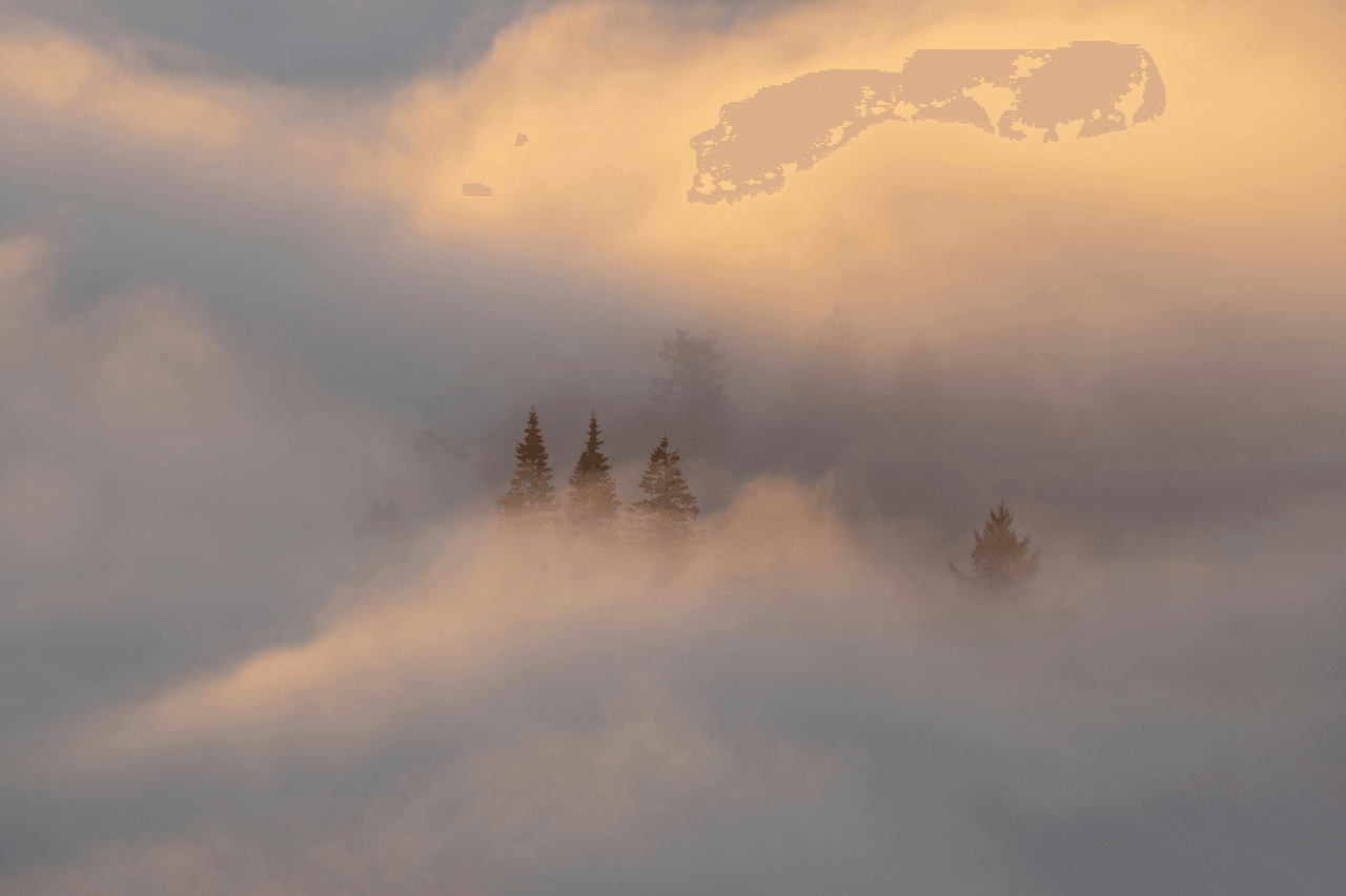 Jonny Gios / unsplash.com Nachbericht: KI-Sichtbarkeit: Sichtbar sein, wo es wirklich zählt